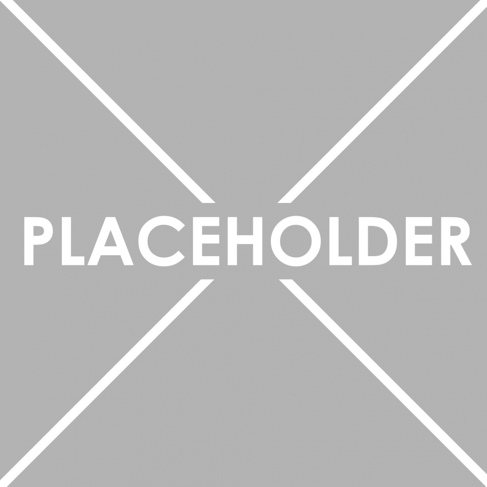 placeholder-1-e1533569576673-960x960